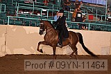 09yn-11464 proof
