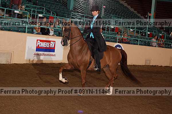 Proof 09yn-11465
