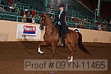 09yn-11465 proof