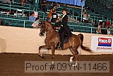 09yn-11466 proof