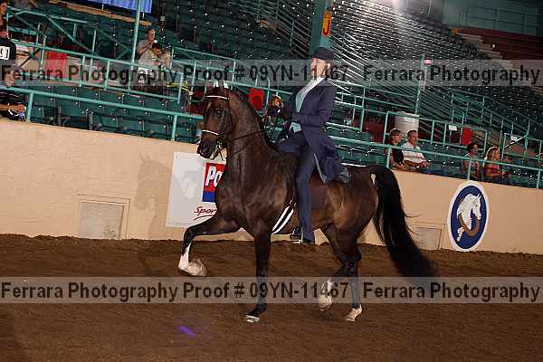 Proof 09yn-11467