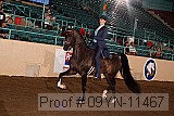 09yn-11467 proof
