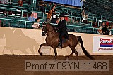 09yn-11468 proof