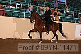 09yn-11471 proof