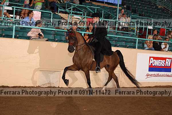 Proof 09yn-11472