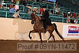 09yn-11472 proof