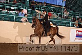 09yn-11473 proof