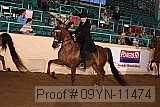 09yn-11474 proof