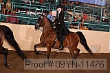 09yn-11476 proof