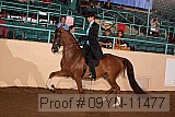 09yn-11477 proof