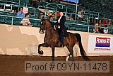 09yn-11478 proof