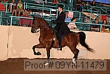 09yn-11479 proof