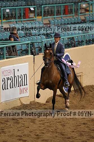 Proof 09yn-11482