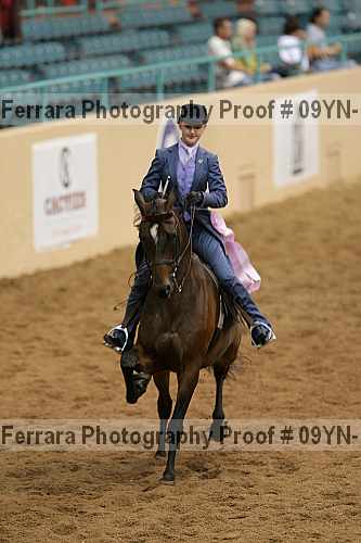 Proof 09yn-11483