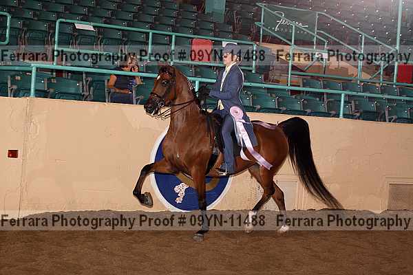 Proof 09yn-11488