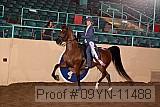 09yn-11488 proof