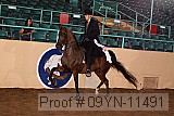 09yn-11491 proof