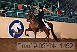 09yn-11492 proof
