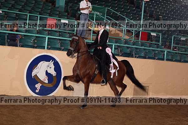 Proof 09yn-11493