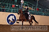 09yn-11493 proof