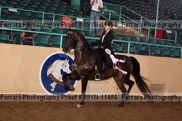 Proof 09yn-11494