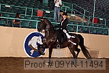 09yn-11494 proof