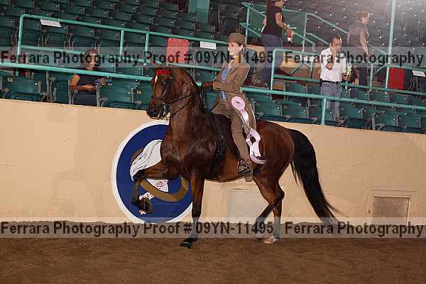 Proof 09yn-11495