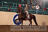 09yn-11495 proof