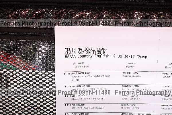 Proof 09yn-11496