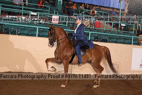 Proof 09yn-11497