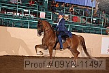 09yn-11497 proof