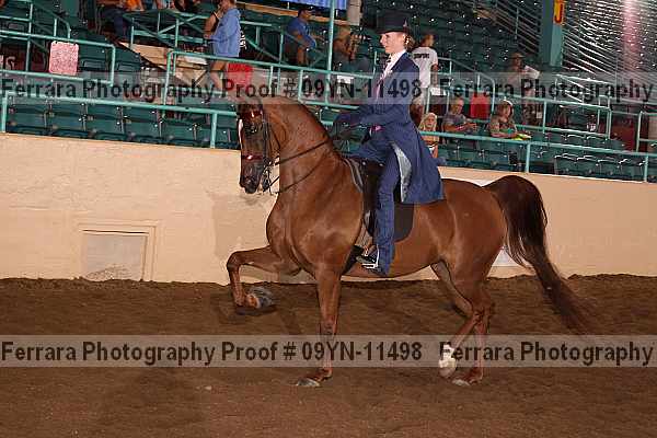 Proof 09yn-11498
