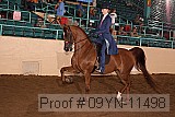 09yn-11498 proof