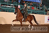 09yn-11499 proof