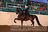 09yn-11500 proof