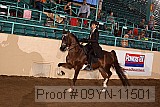 09yn-11501 proof