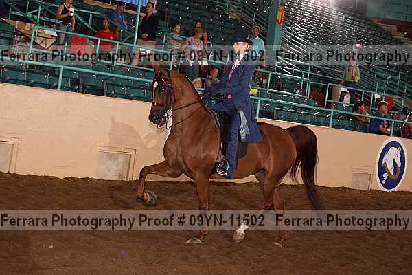 Proof 09yn-11502