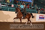 09yn-11503 proof