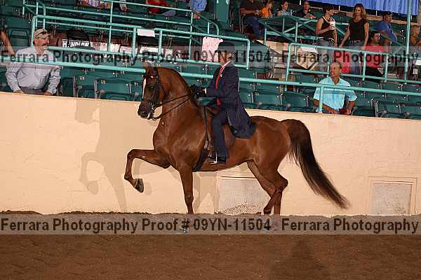 Proof 09yn-11504