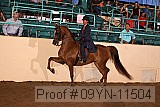 09yn-11504 proof