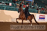 09yn-11505 proof