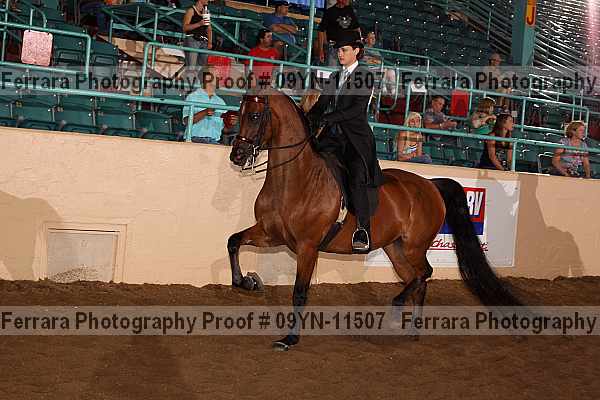 Proof 09yn-11507