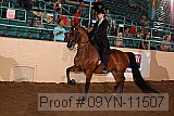 09yn-11507 proof