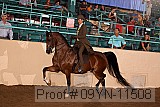 09yn-11508 proof