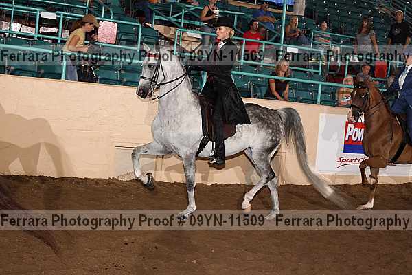 Proof 09yn-11509