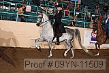 09yn-11509 proof