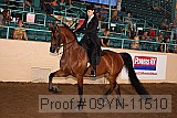 09yn-11510 proof
