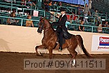 09yn-11511 proof