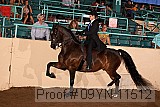 09yn-11512 proof