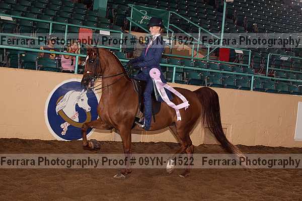 Proof 09yn-11522
